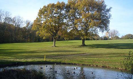 Birch Grove Golf Club