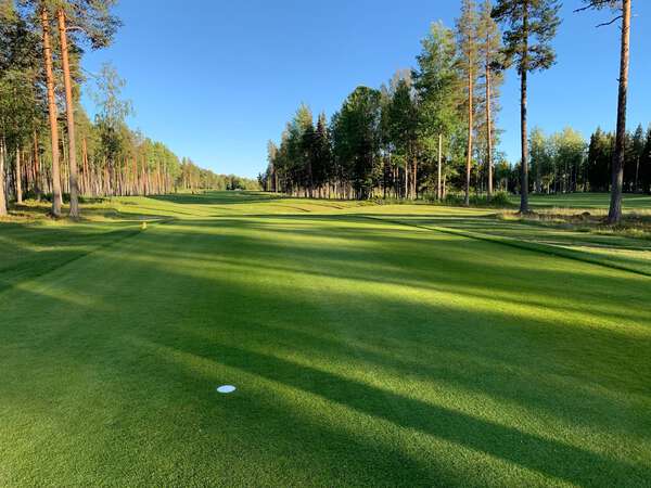 Bjurholms Golfklubb & P&P