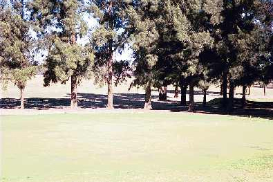 Bothaville Golf Club