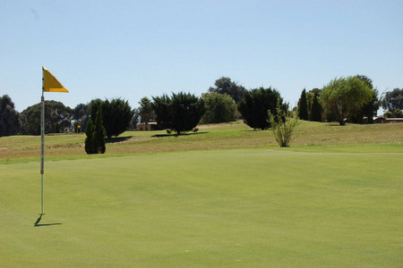 Golf Course from The Sport