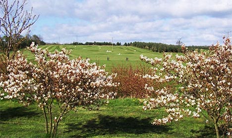 Burgham Park Golf Club