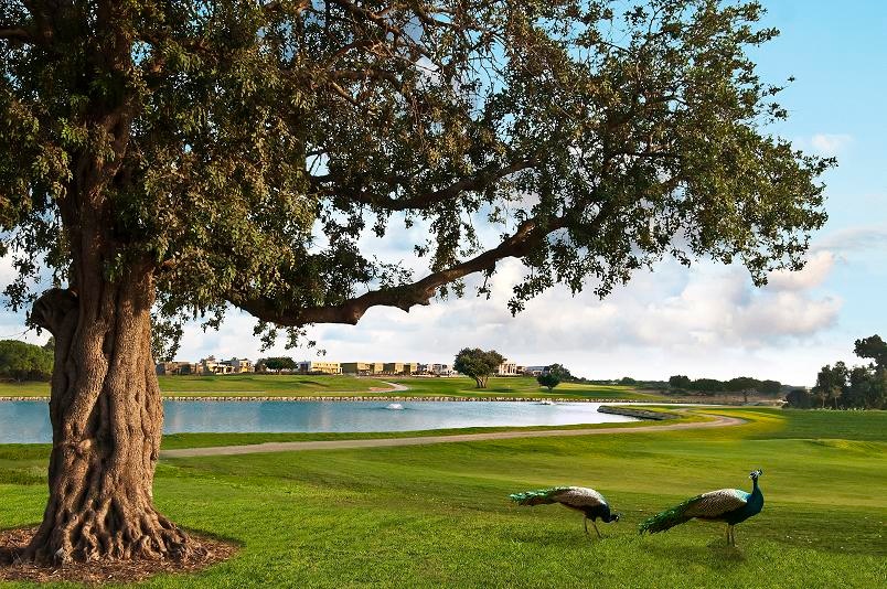 Caesarea Golf Club