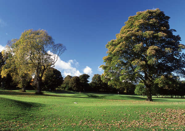 Caird Park Golf Club