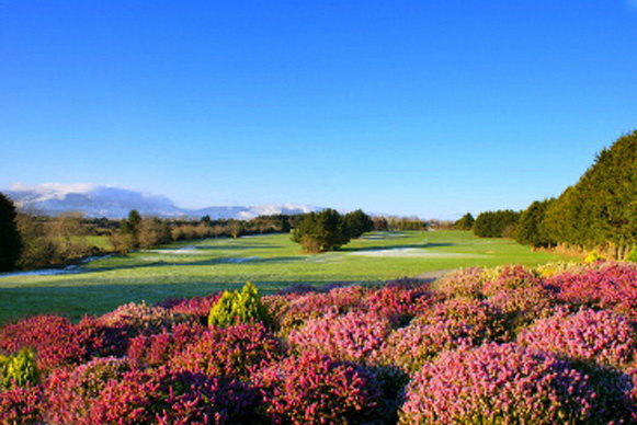 Hole 9 Dogleg - 505 meters - Par 5