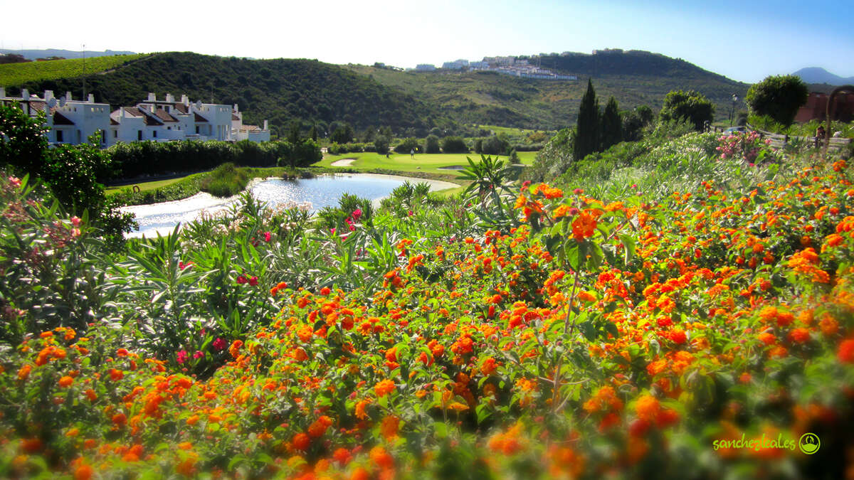Casares Costa Golf