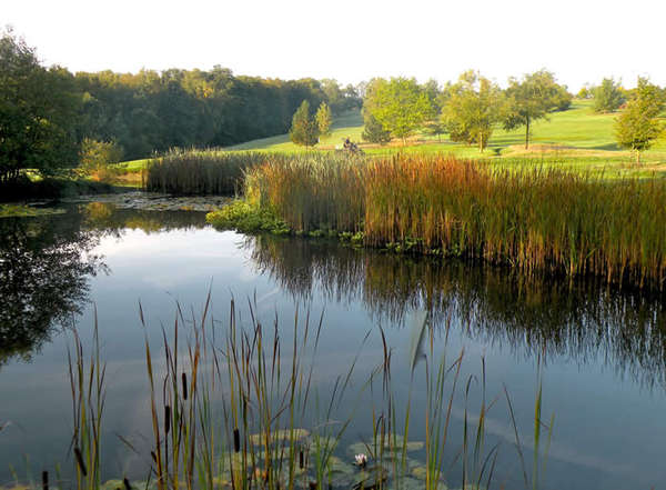 Chiddingfold Golf Club