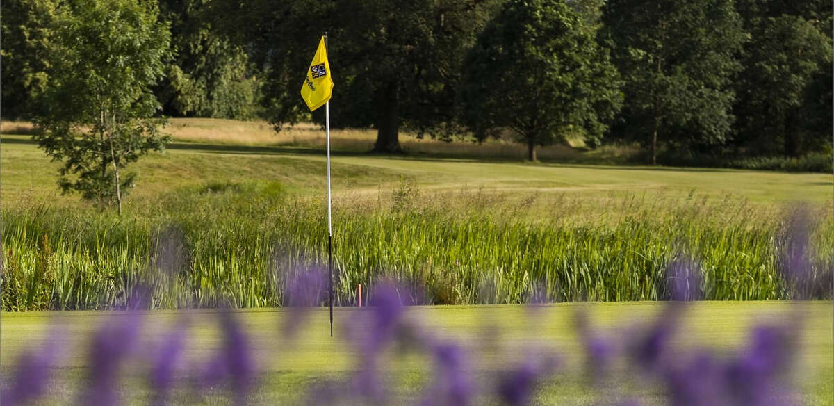 Clandon Regis Golf Club