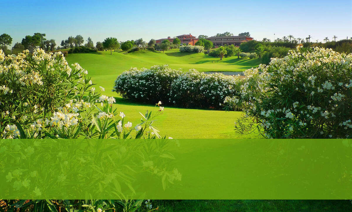 Club de Golf Hato Verde