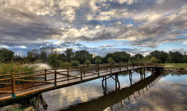 Club de Golf Lomas-Bosque