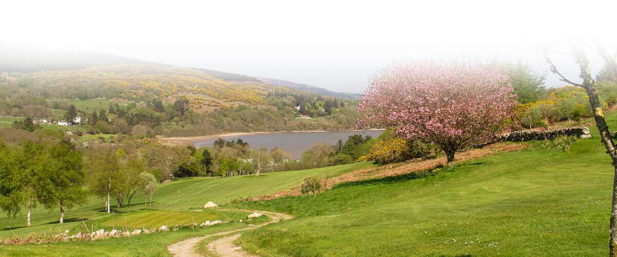 Colvend Golf Club