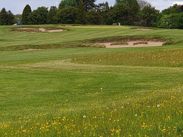 Der Golf Club Am Obinger See