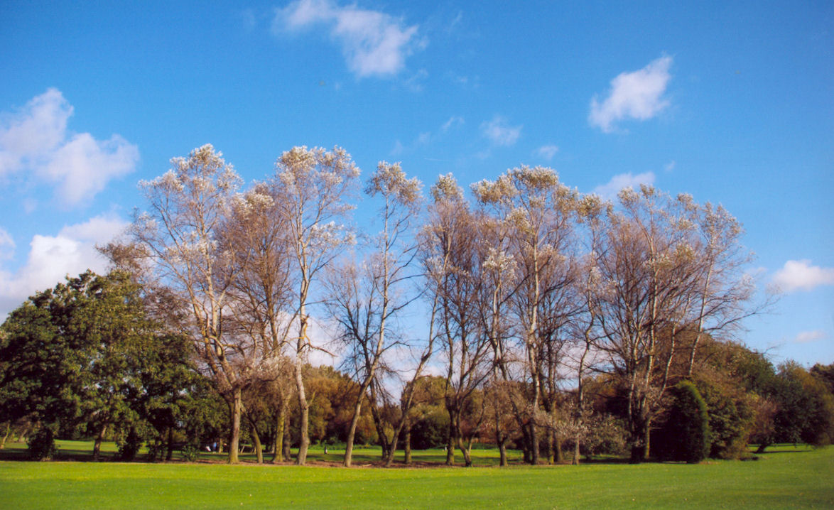 Derby Golf Club