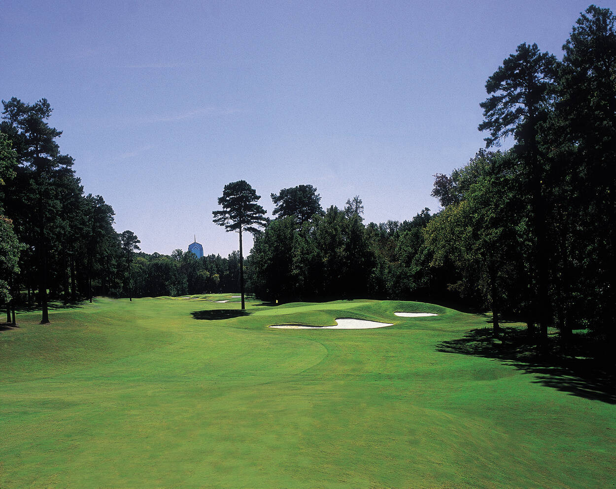 Duke University Golf Club, Durham, NC Albrecht Golf Guide