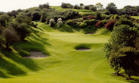 Looking in at the 4th Green at Esker Hills Golf Club