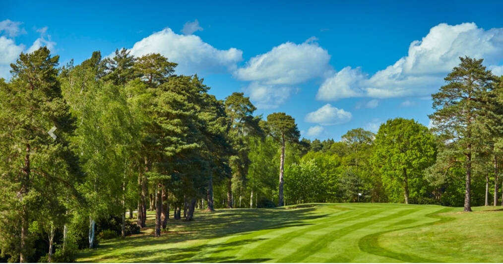 17+ Foxford Hills Golf Course