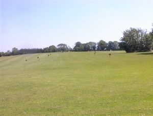 Frankfield Golf Club