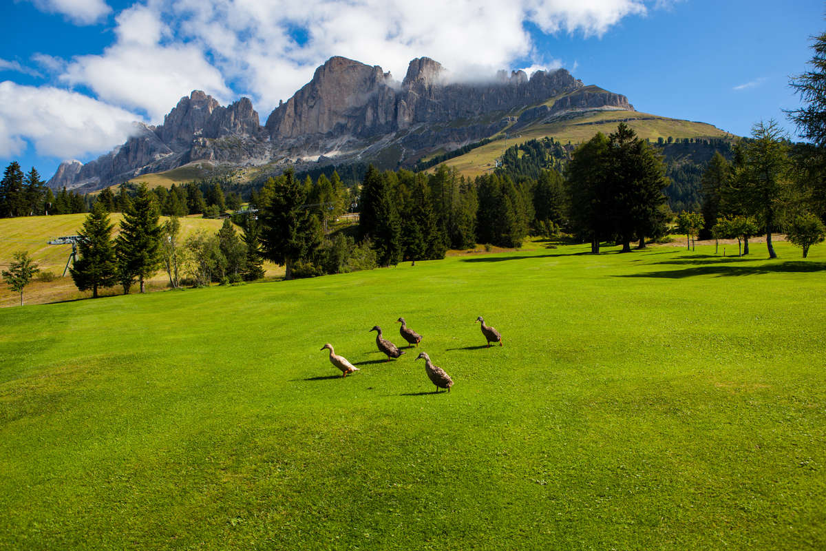 Golf Club Carezza