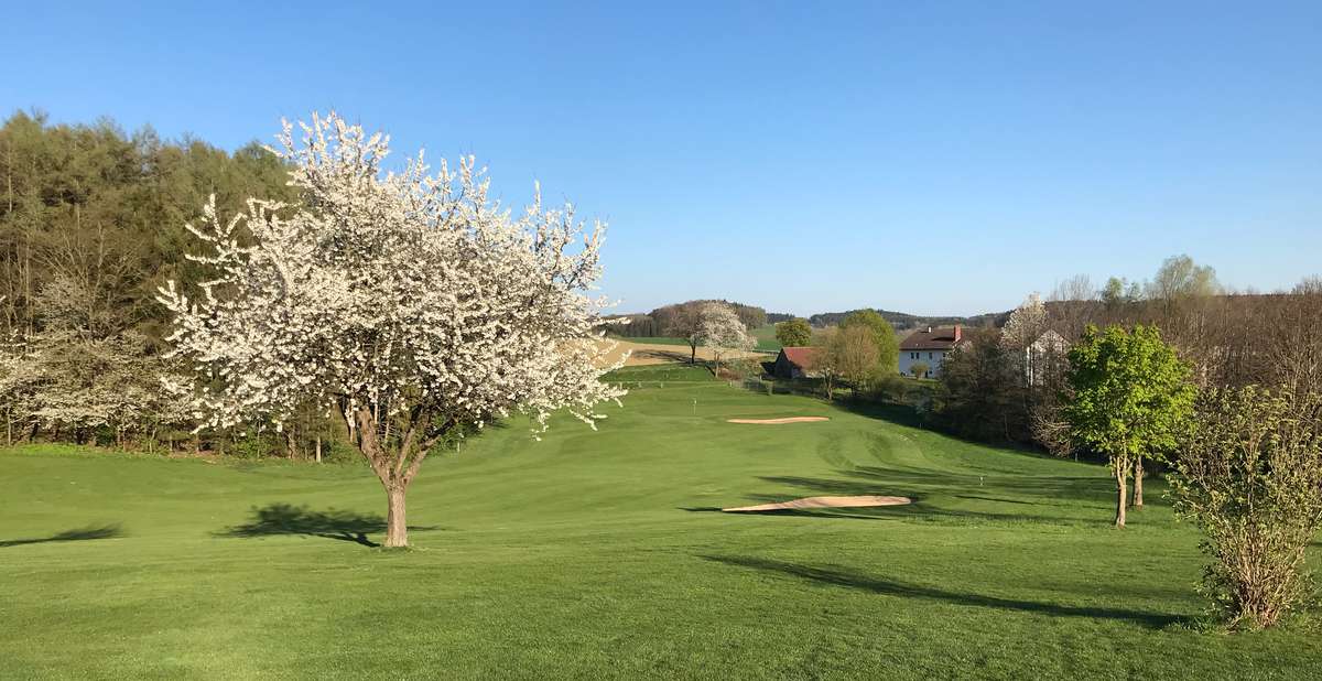 Golf-Club Erding Grünbach e.V.