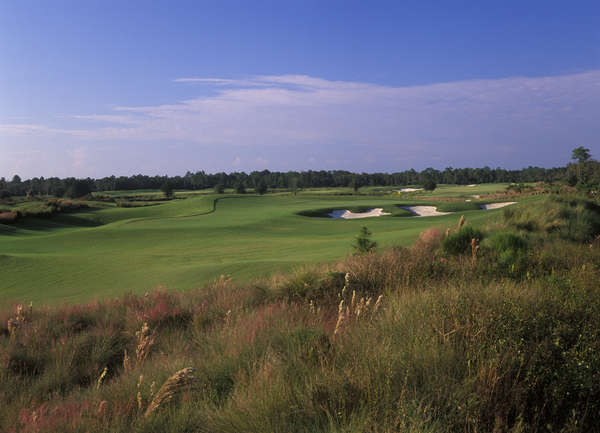 Golf Club of the Everglades