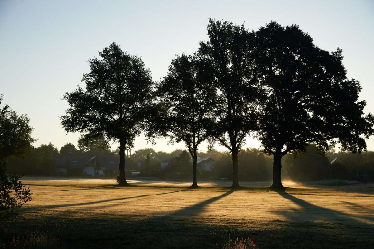 Golf de Cholet