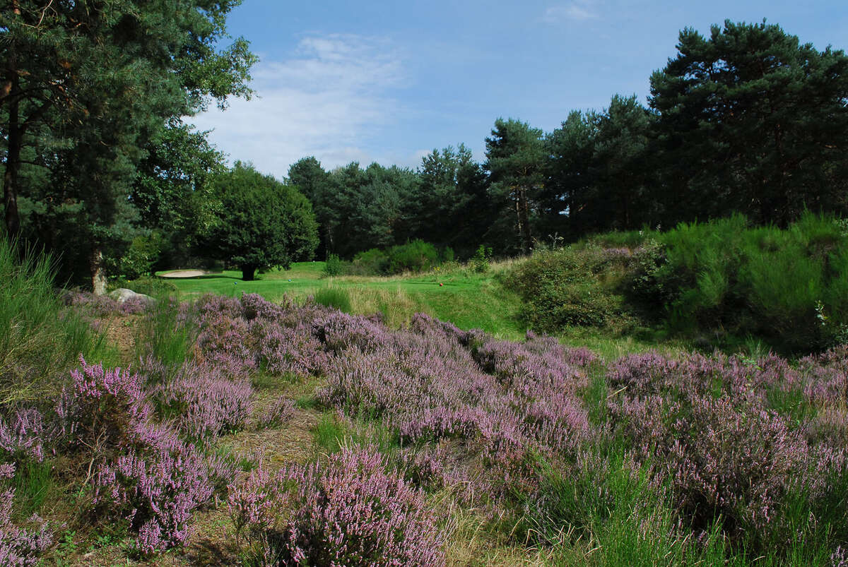 Golf de Fontainebleau