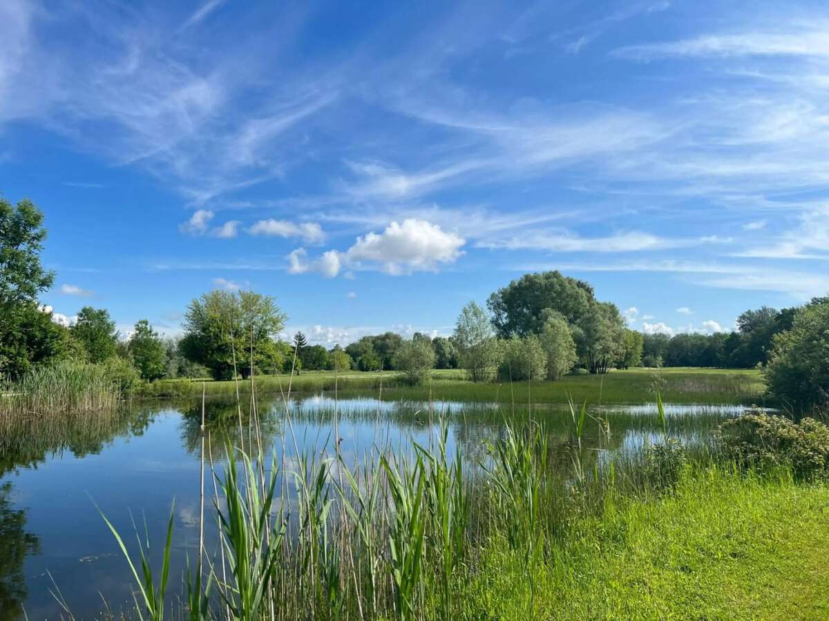 Golf de la Forêt d'Orient