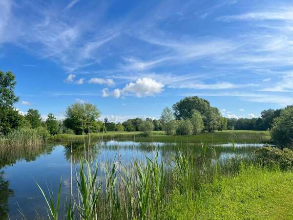 Golf de la Forêt d'Orient