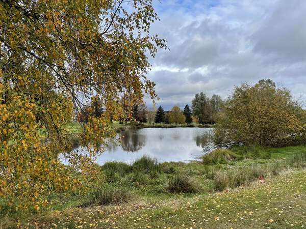 Golf des Images d' Epinal