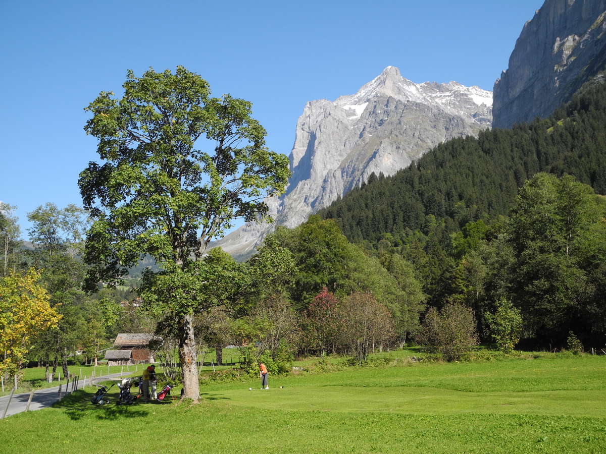 The world famous Wetterhorn