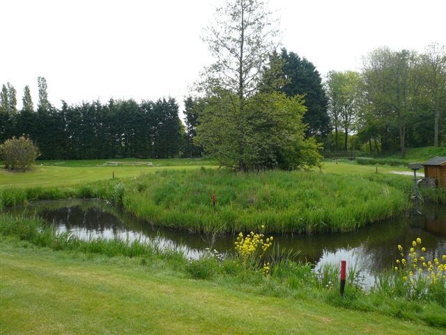 Golfbaan Het Wedde