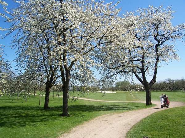 Golfbaan Landgoed Welderen