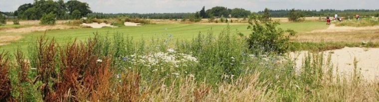 Golfclub De Heelsumse