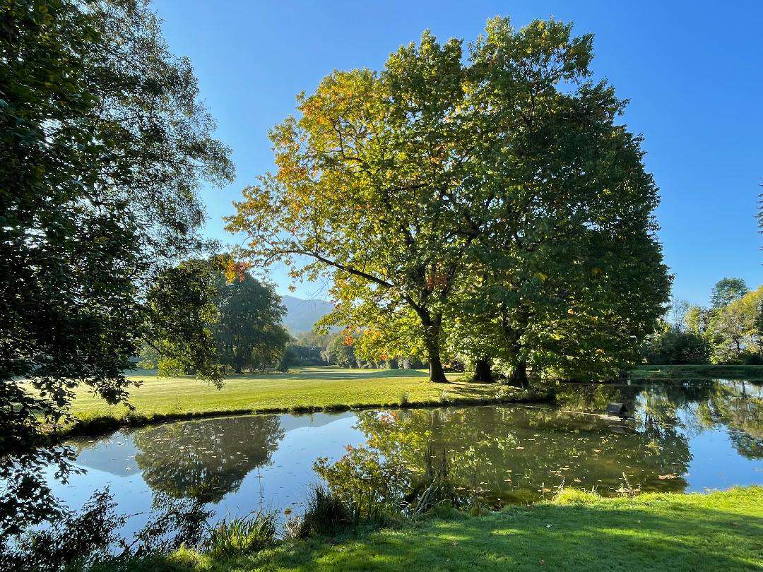 Herbststimmung