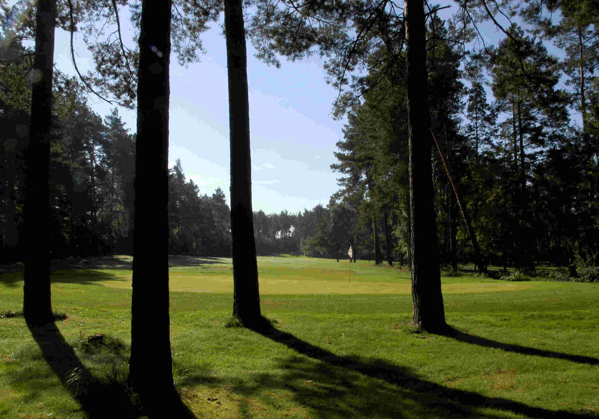 Fairway 8, view towards tee box