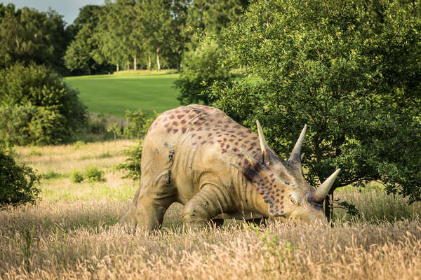 Golfclub Rehburg-Loccum GmbH & Co. KG