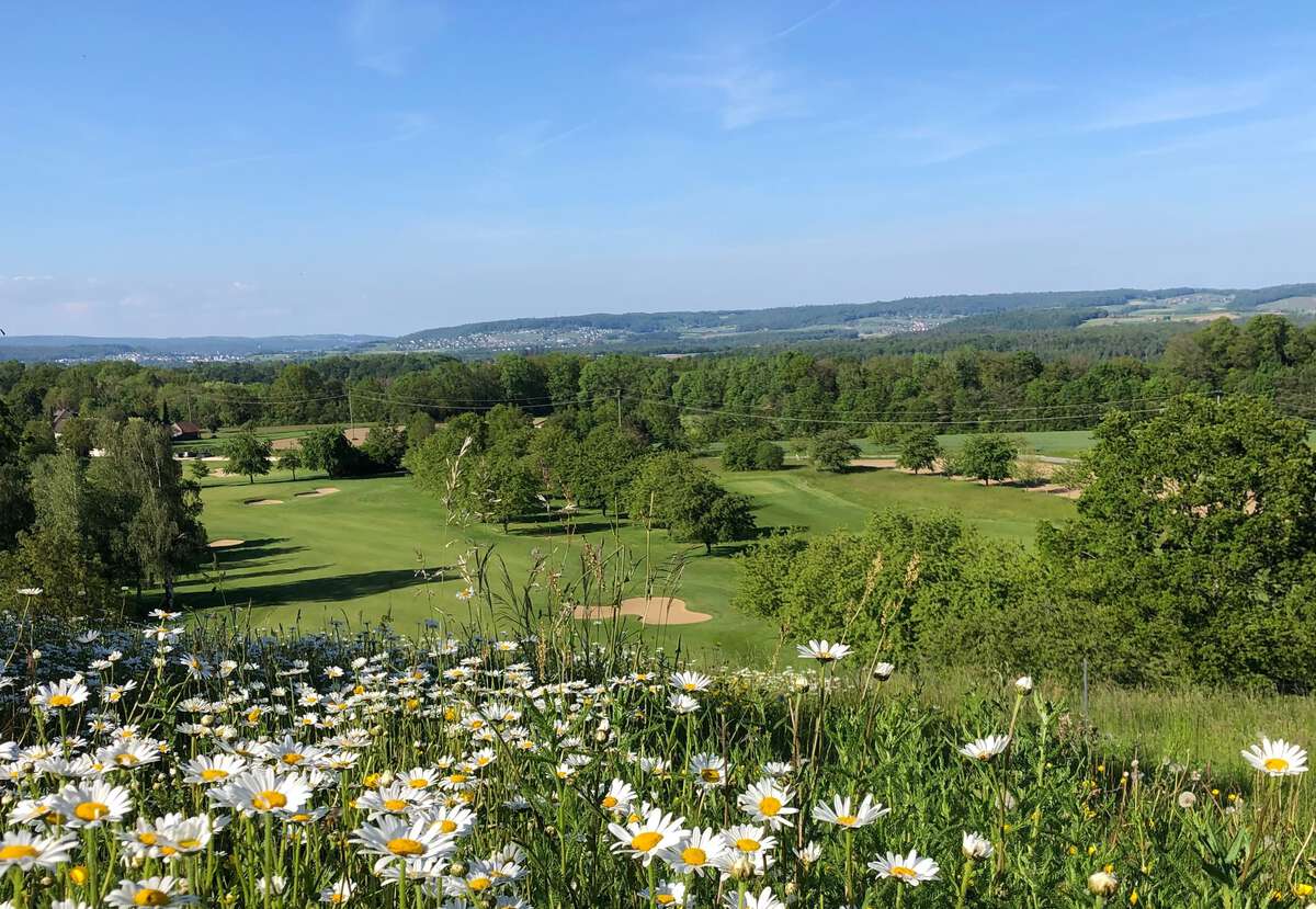 Golfclub Rheinblick