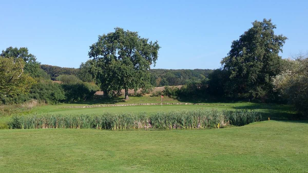 Grün Bahn 2