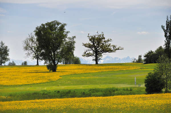 Golfclub zu Gut Ludwigsberg