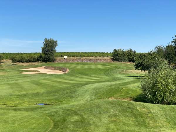 Golfgarten Deutsche Weinstrasse
