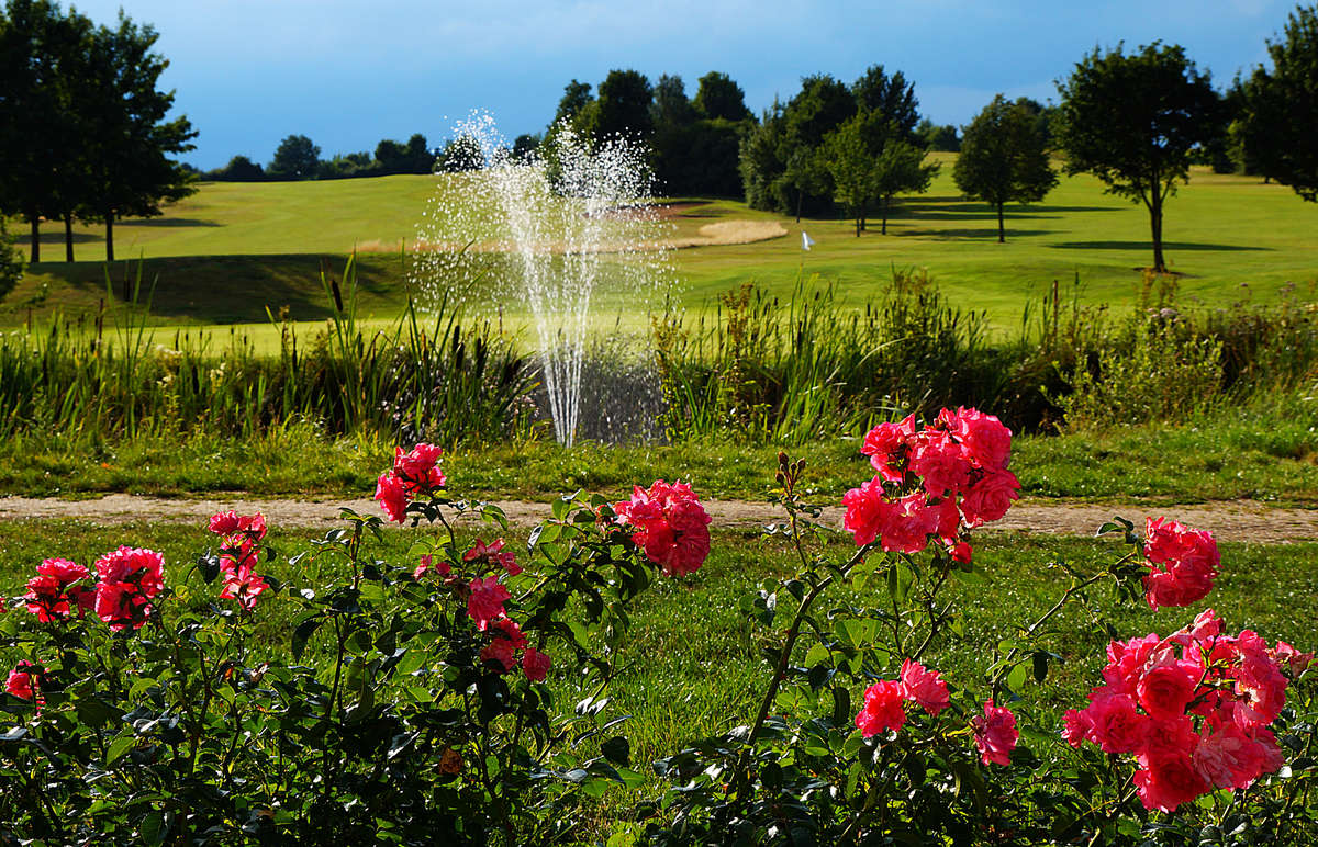 Der Golfplatz