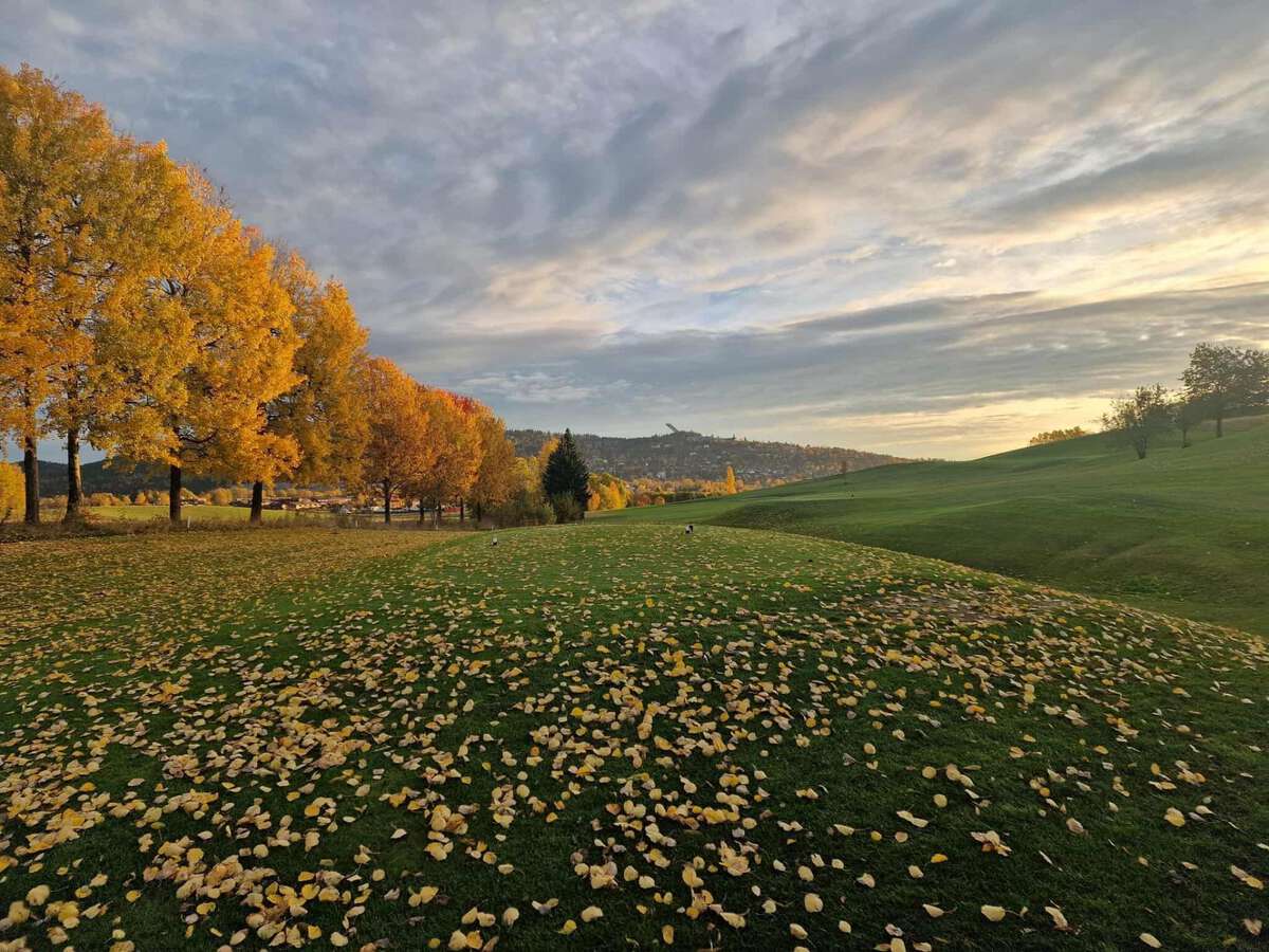 Grini Golfklubb