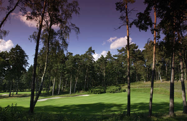 Hamburger Golf-Club e.V. Falkenstein