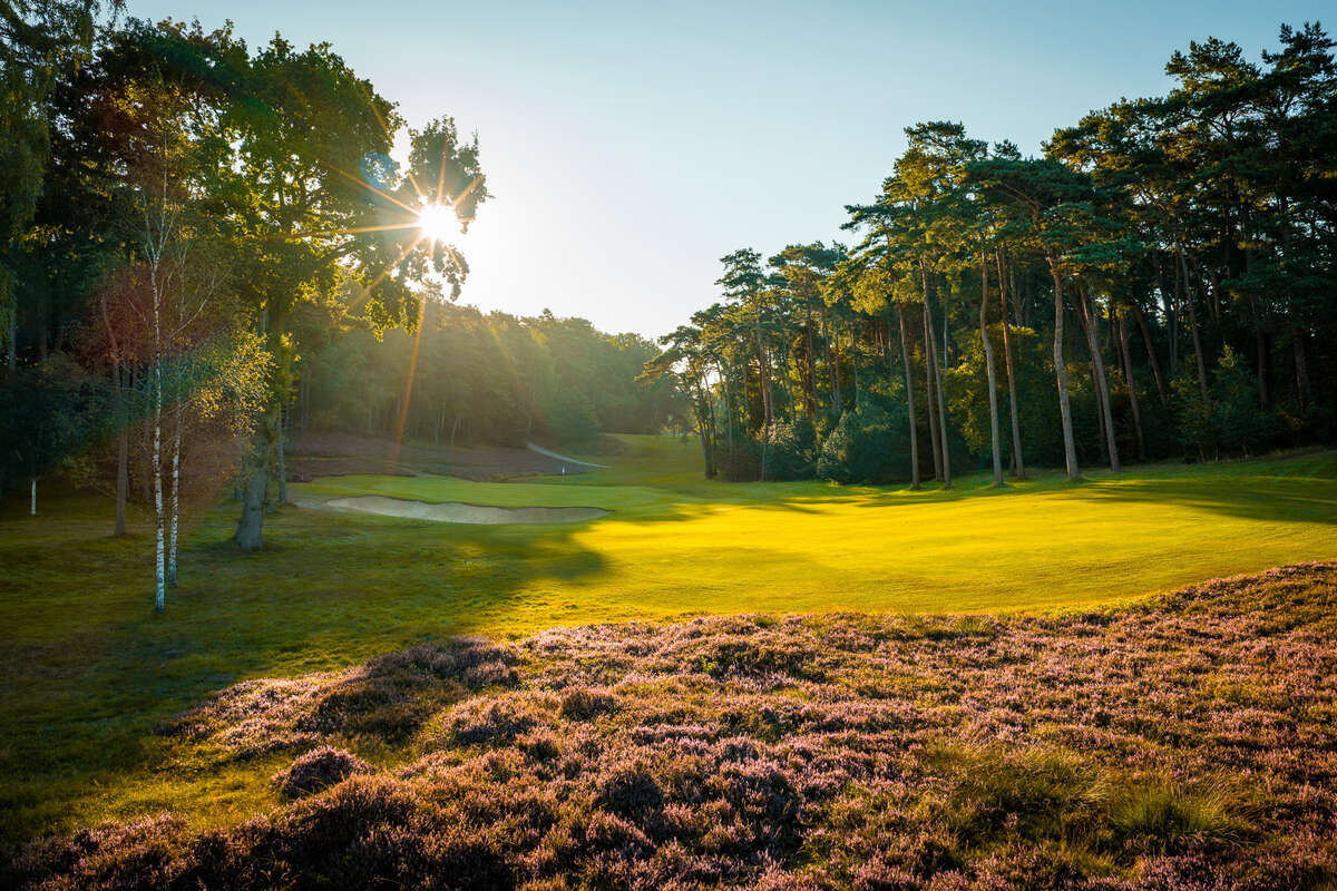 Hamburger Golf-Club e.V. Falkenstein