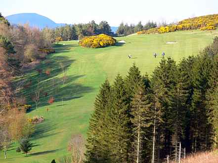 Hawick Golf Club