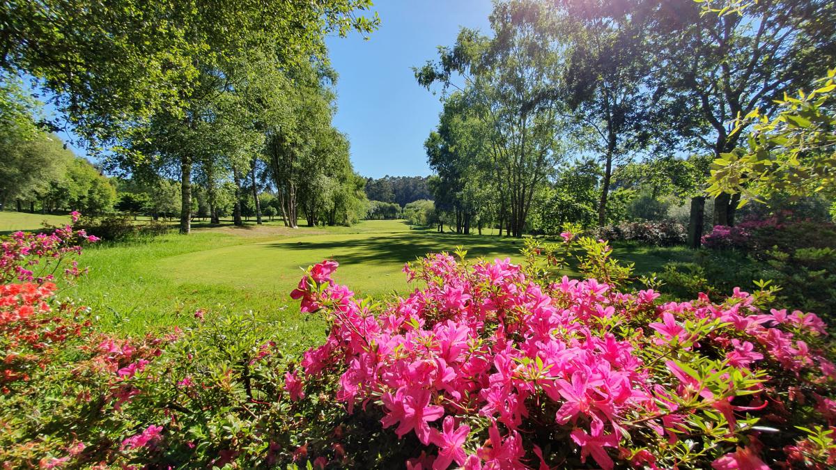 Hércules Club de Golf