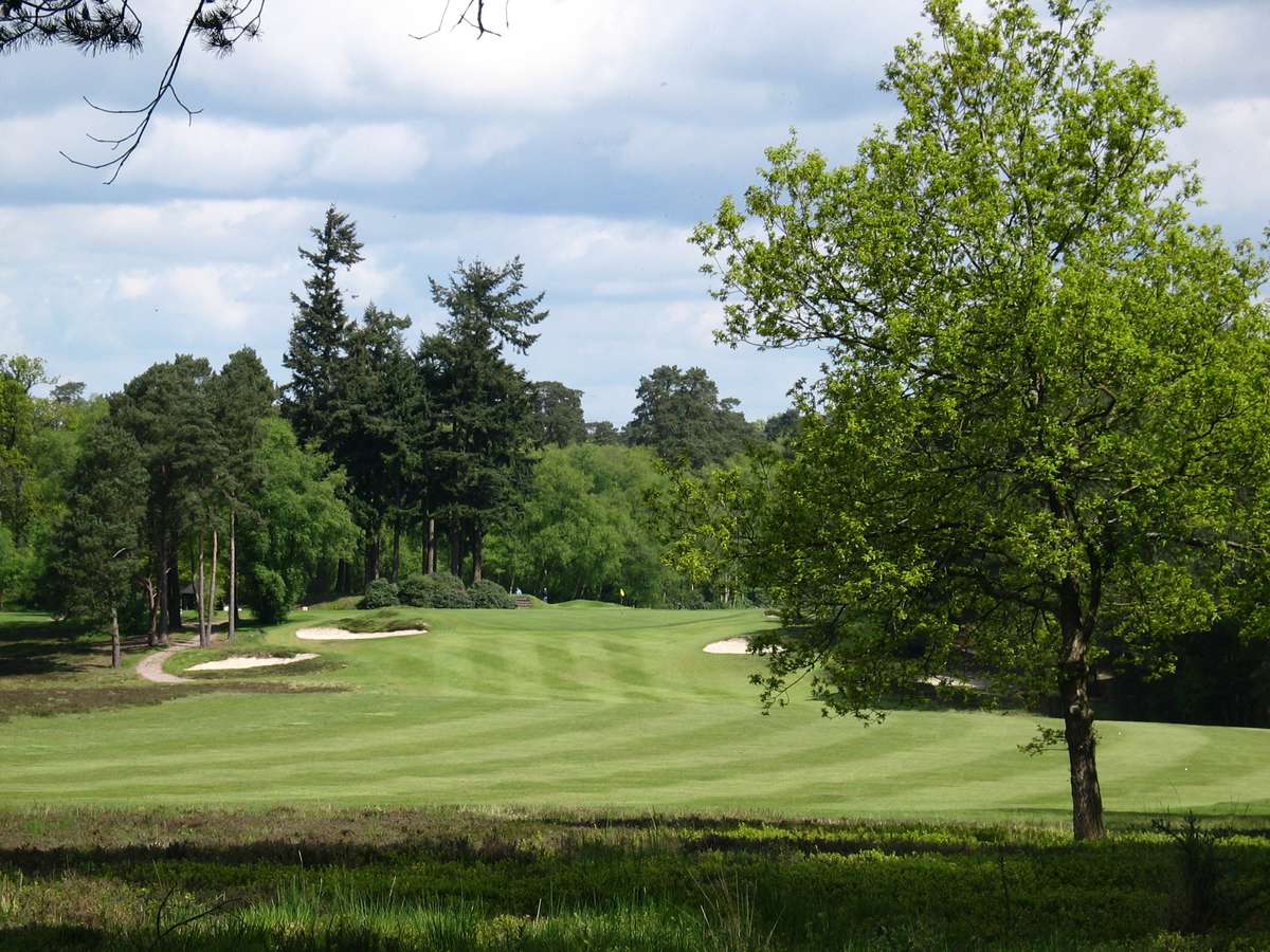 The 13th Fairway
