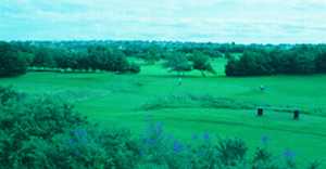 Lochgelly Golf Club