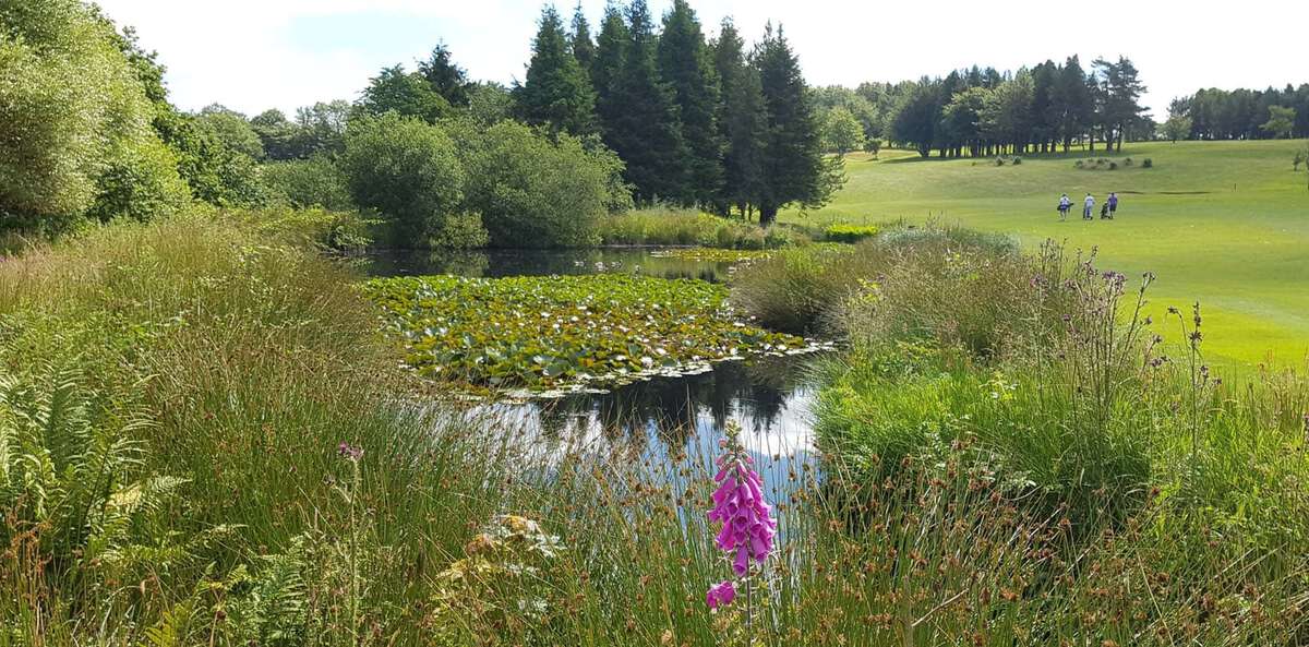 Mendip Golf Club