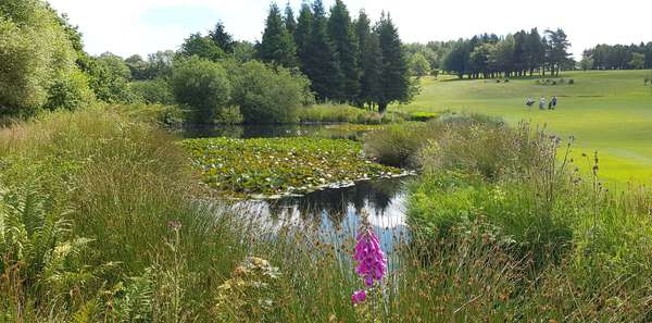 Mendip Golf Club