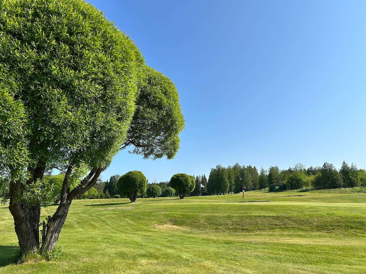 Mikkelin Golf